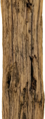 Holzbalken senkrecht@0.5x